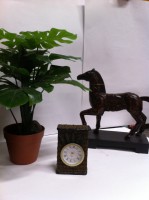 /album/fotogaleria/la-foto-17-jpg/